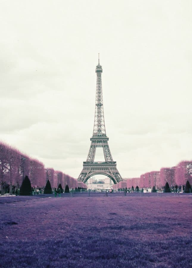 The uploaded photograph: the Eiffel Tower seen down an avenue of trees, the grass and foliage rendered in infrared pink and violet